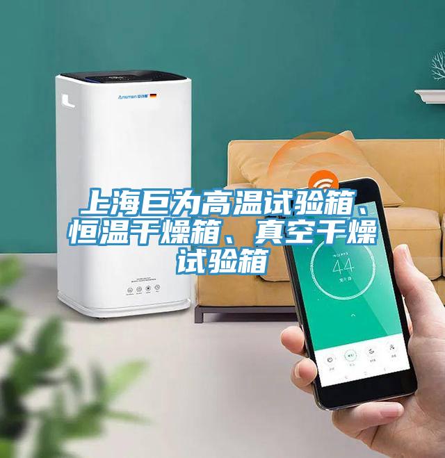 上海巨為高溫試驗(yàn)箱、恒溫干燥箱、真空干燥試驗(yàn)箱