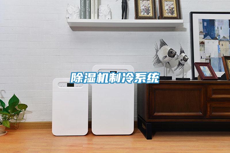 除濕機(jī)制冷系統(tǒng)