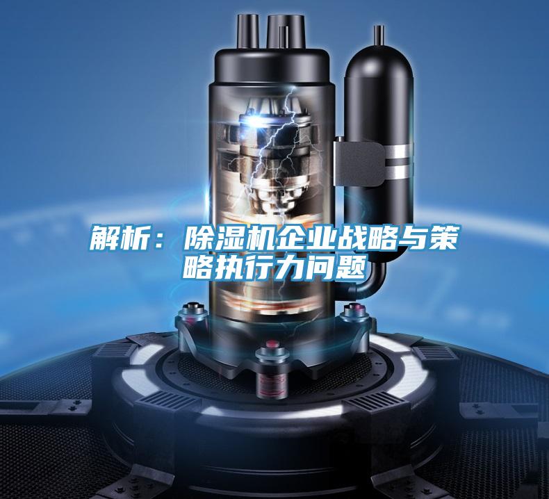 解析：除濕機(jī)企業(yè)戰(zhàn)略與策略執(zhí)行力問(wèn)題
