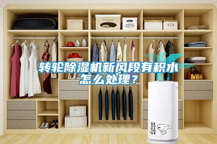 轉(zhuǎn)輪除濕機(jī)新風(fēng)段有積水怎么處理？