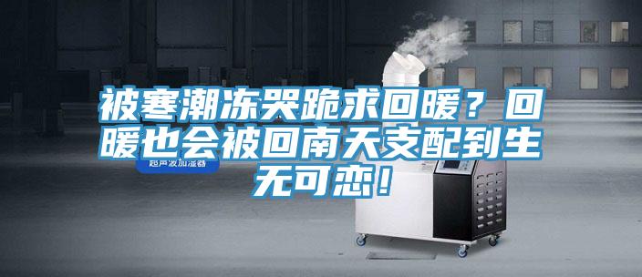 被寒潮凍哭跪求回暖？回暖也會被回南天支配到生無可戀！