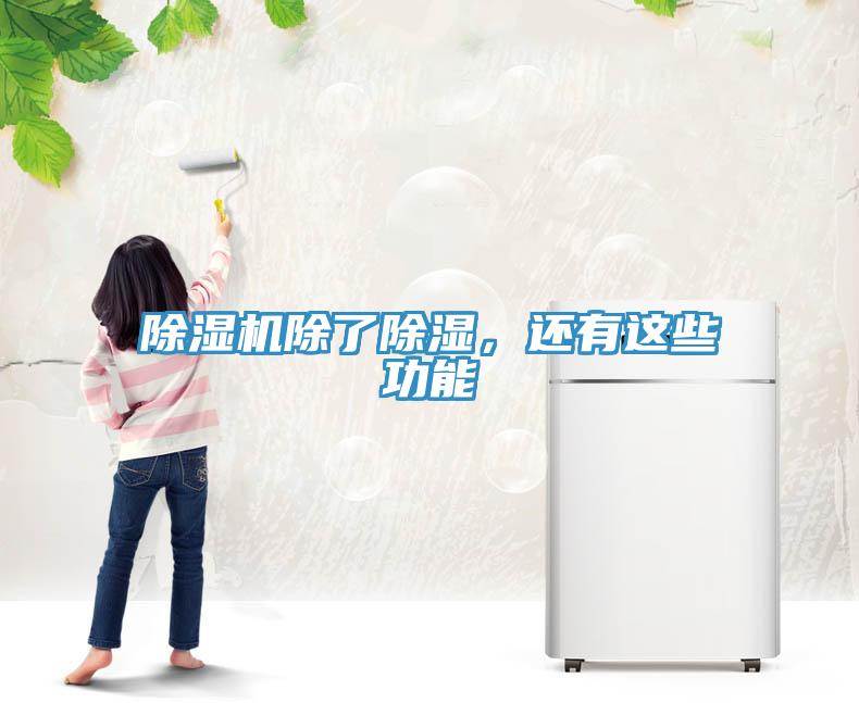 除濕機(jī)除了除濕，還有這些功能