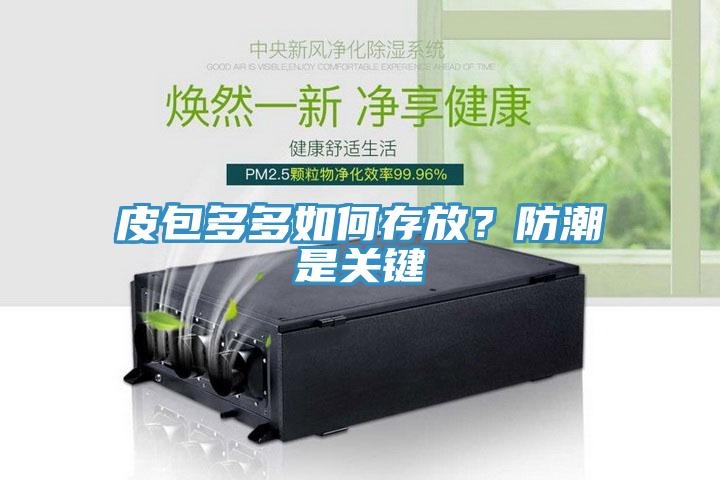 皮包多多如何存放？防潮是關(guān)鍵
