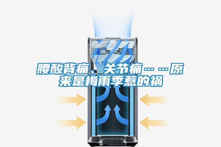 腰酸背痛、關(guān)節(jié)痛……原來是梅雨季惹的禍