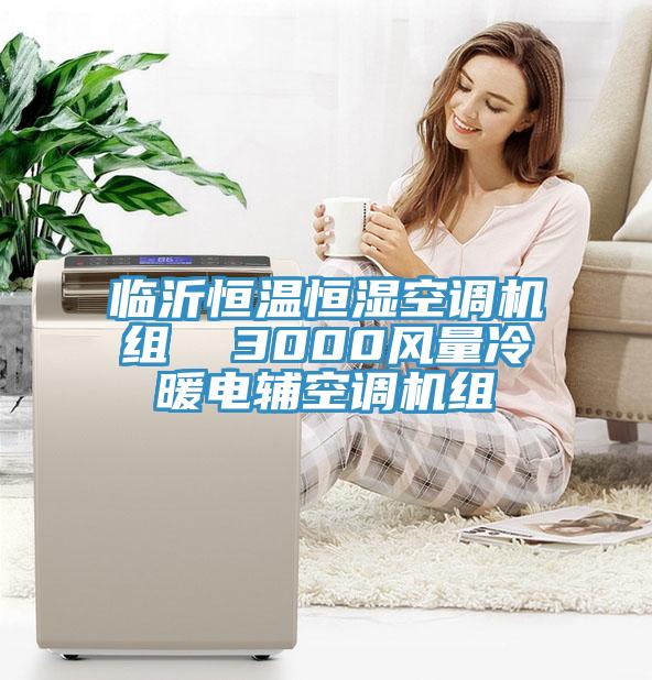 臨沂恒溫恒濕空調(diào)機組  3000風(fēng)量冷暖電輔空調(diào)機組