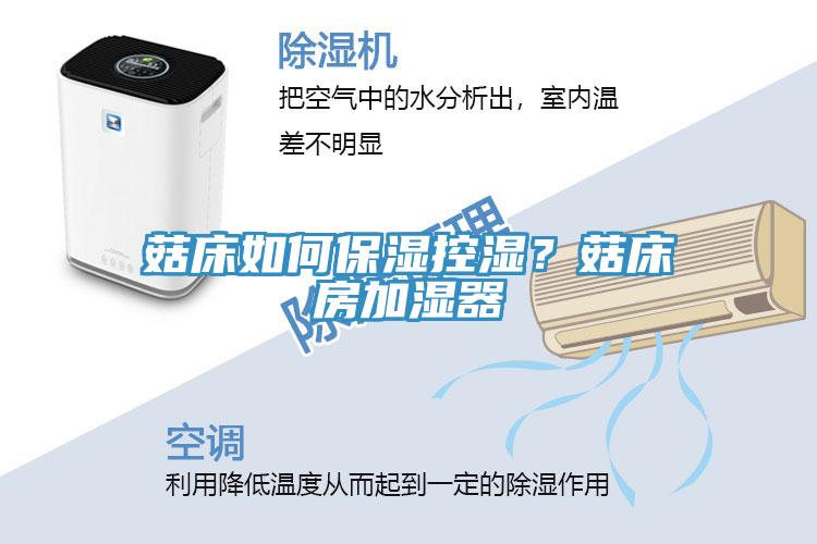菇床如何保濕控濕？菇床房加濕器