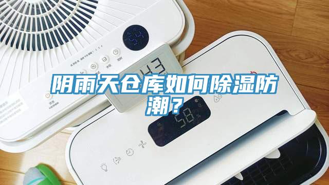 陰雨天倉(cāng)庫(kù)如何除濕防潮？