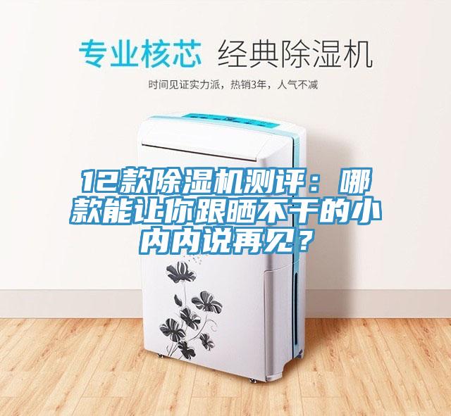 12款除濕機(jī)測評：哪款能讓你跟曬不干的小內(nèi)內(nèi)說再見？
