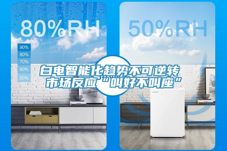 白電智能化趨勢(shì)不可逆轉(zhuǎn) 市場(chǎng)反應(yīng)“叫好不叫座”