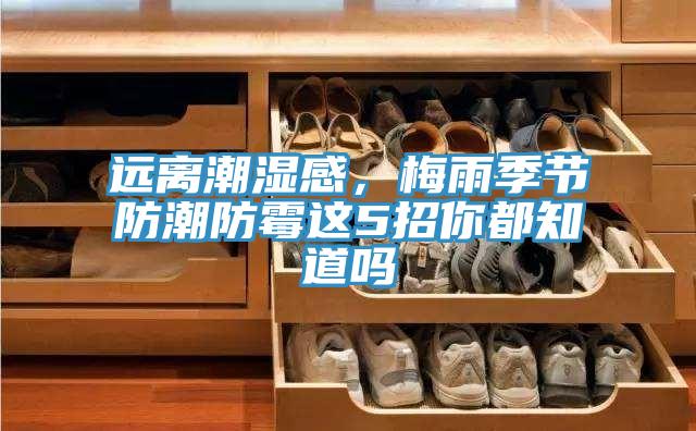 遠(yuǎn)離潮濕感，梅雨季節(jié)防潮防霉這5招你都知道嗎