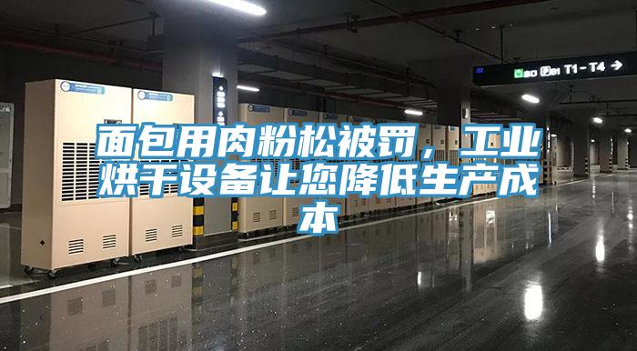 面包用肉粉松被罰，工業(yè)烘干設(shè)備讓您降低生產(chǎn)成本