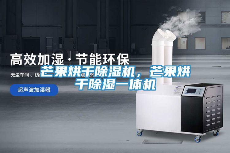 芒果烘干除濕機(jī)，芒果烘干除濕一體機(jī)