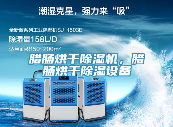 臘腸烘干除濕機(jī)，臘腸烘干除濕設(shè)備