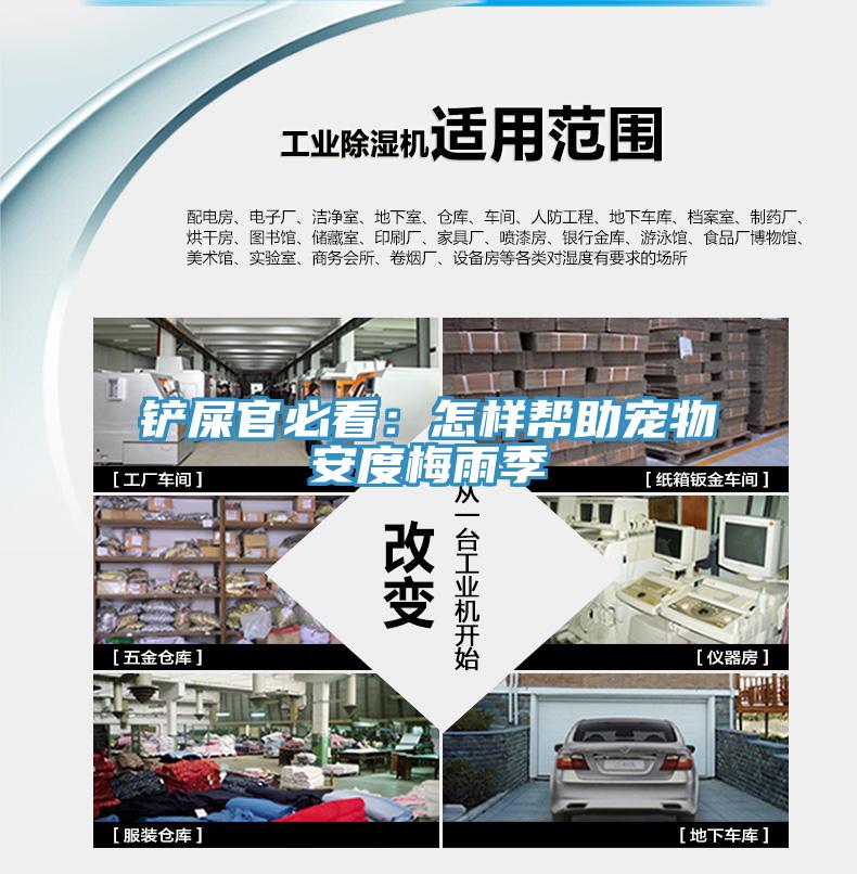 鏟屎官必看：怎樣幫助寵物安度梅雨季
