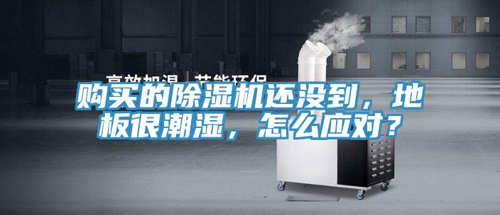 購買的除濕機還沒到，地板很潮濕，怎么應對？