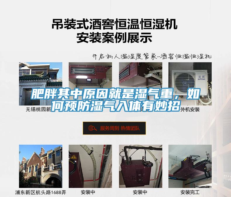 肥胖其中原因就是濕氣重，如何預防濕氣入體有妙招