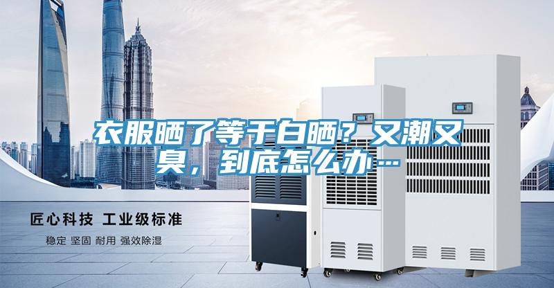 衣服曬了等于白曬？又潮又臭，到底怎么辦…