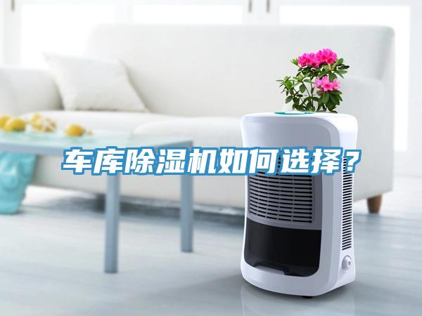 車庫除濕機(jī)如何選擇？