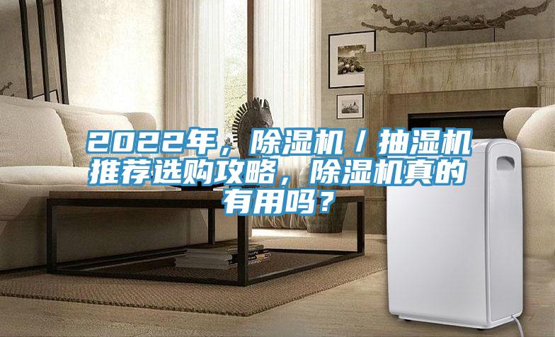 2022年，除濕機(jī)／抽濕機(jī)推薦選購攻略，除濕機(jī)真的有用嗎？