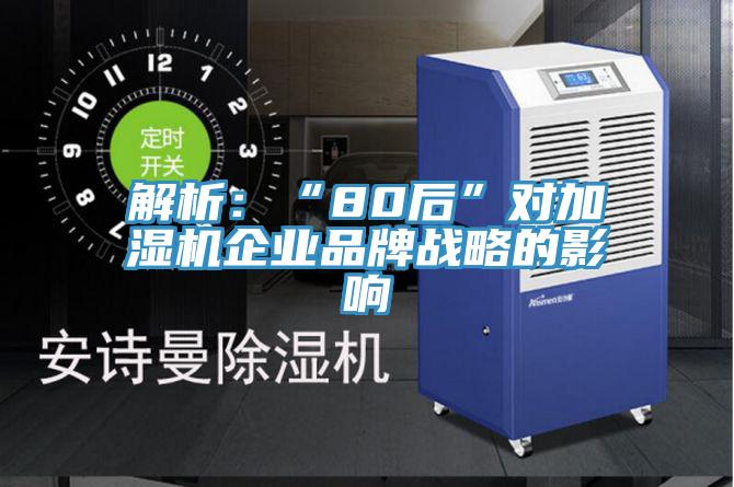 解析：“80后”對加濕機企業(yè)品牌戰(zhàn)略的影響