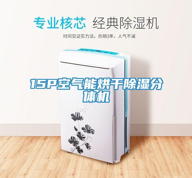 15P空氣能烘干除濕分體機(jī)