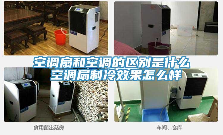 空調(diào)扇和空調(diào)的區(qū)別是什么 空調(diào)扇制冷效果怎么樣