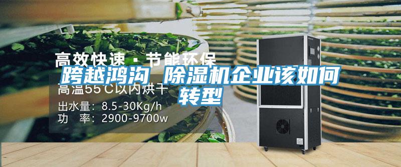 跨越鴻溝 除濕機(jī)企業(yè)該如何轉(zhuǎn)型