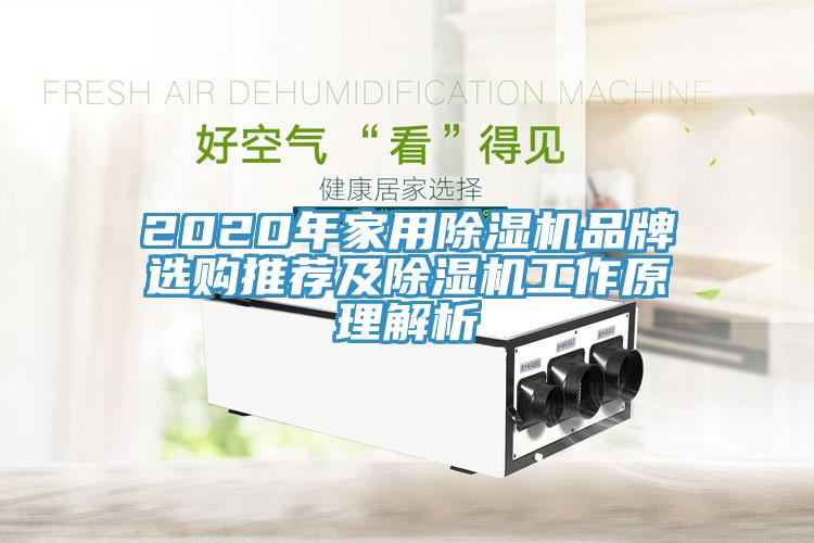 2020年家用除濕機(jī)品牌選購(gòu)?fù)扑]及除濕機(jī)工作原理解析