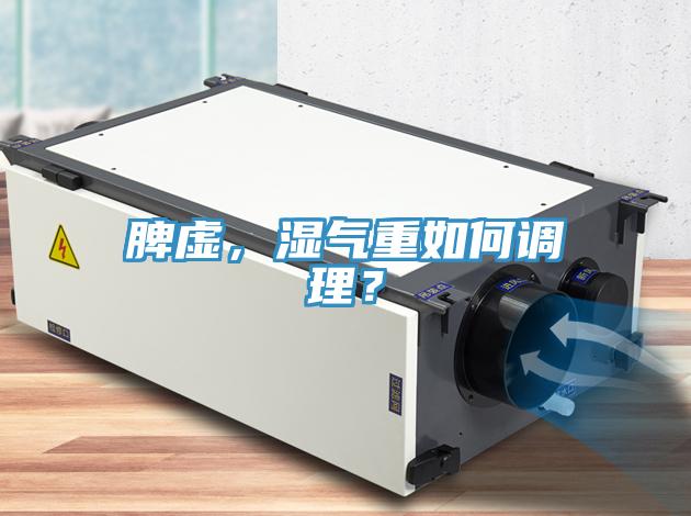 脾虛，濕氣重如何調(diào)理？