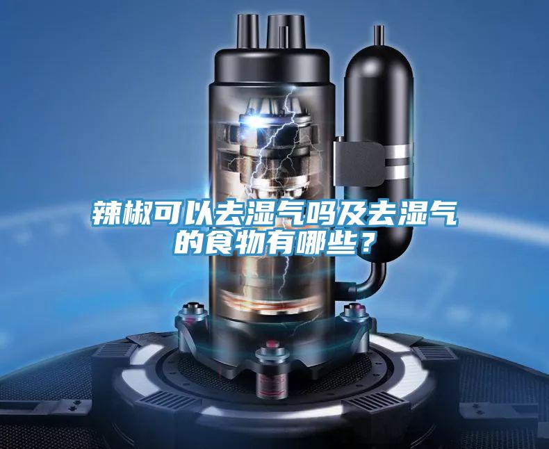 辣椒可以去濕氣嗎及去濕氣的食物有哪些？