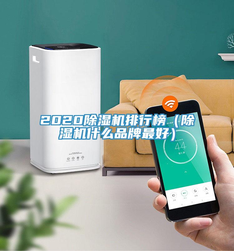 2020除濕機(jī)排行榜（除濕機(jī)什么品牌最好）