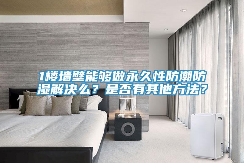 1樓墻壁能夠做永久性防潮防濕解決么？是否有其他方法？