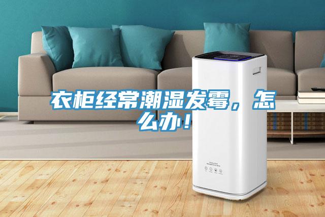 衣柜經(jīng)常潮濕發(fā)霉，怎么辦！