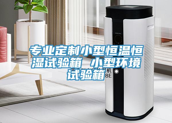 專(zhuān)業(yè)定制小型恒溫恒濕試驗(yàn)箱 小型環(huán)境試驗(yàn)箱