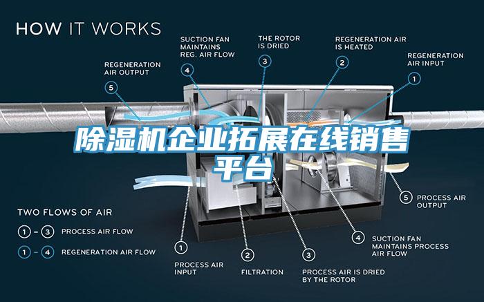 除濕機(jī)企業(yè)拓展在線銷售平臺(tái)