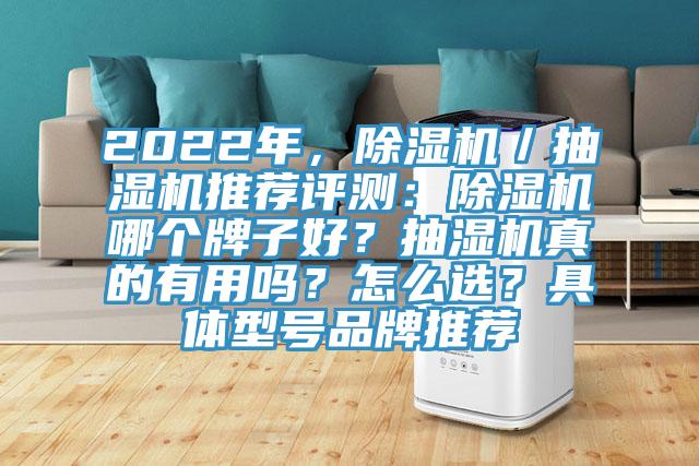 2022年，除濕機(jī)／抽濕機(jī)推薦評測：除濕機(jī)哪個(gè)牌子好？抽濕機(jī)真的有用嗎？怎么選？具體型號品牌推薦