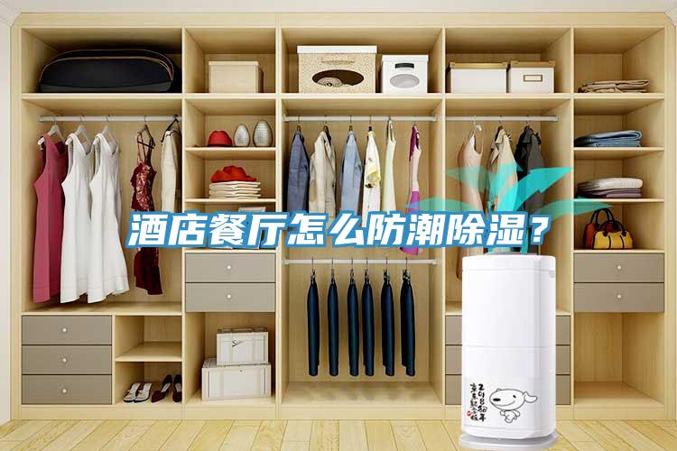 酒店餐廳怎么防潮除濕？