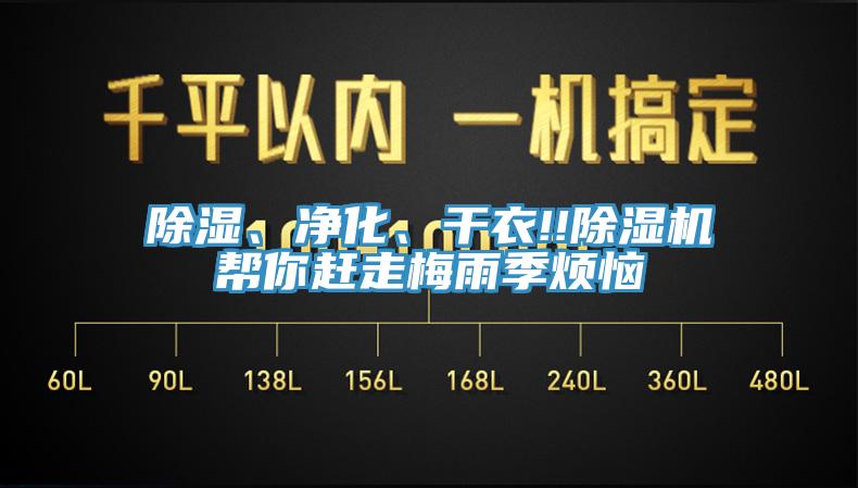 除濕、凈化、干衣!!除濕機(jī)幫你趕走梅雨季煩惱