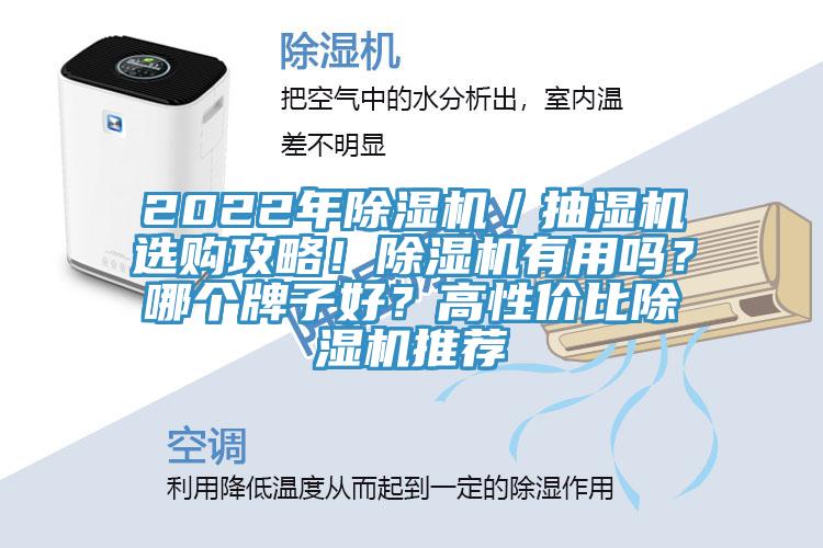 2022年除濕機(jī)／抽濕機(jī)選購攻略！除濕機(jī)有用嗎？哪個(gè)牌子好？高性價(jià)比除濕機(jī)推薦