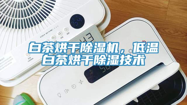 白茶烘干除濕機，低溫白茶烘干除濕技術(shù)