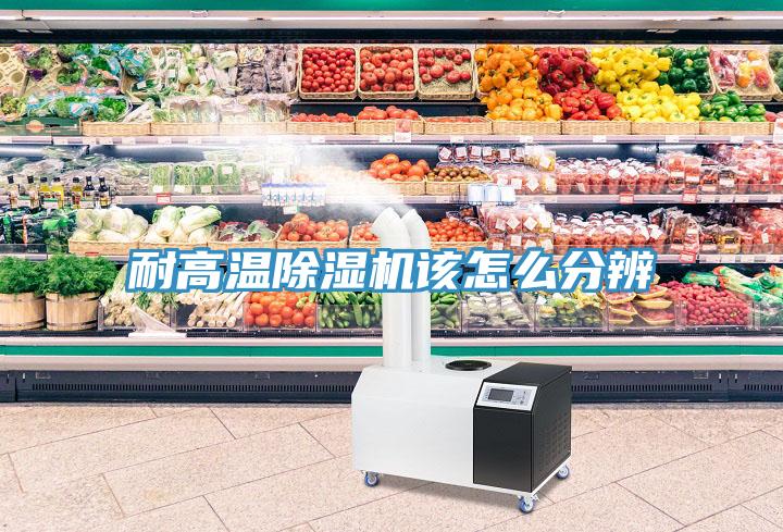 耐高溫除濕機該怎么分辨