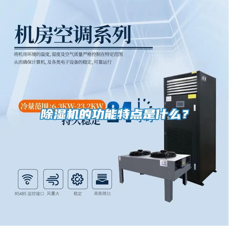 除濕機(jī)的功能特點(diǎn)是什么？
