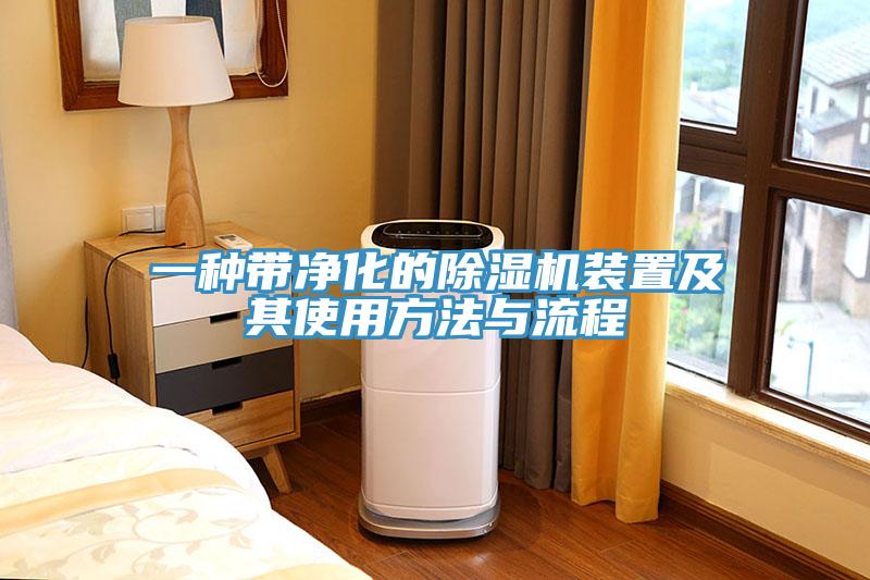 一種帶凈化的除濕機(jī)裝置及其使用方法與流程