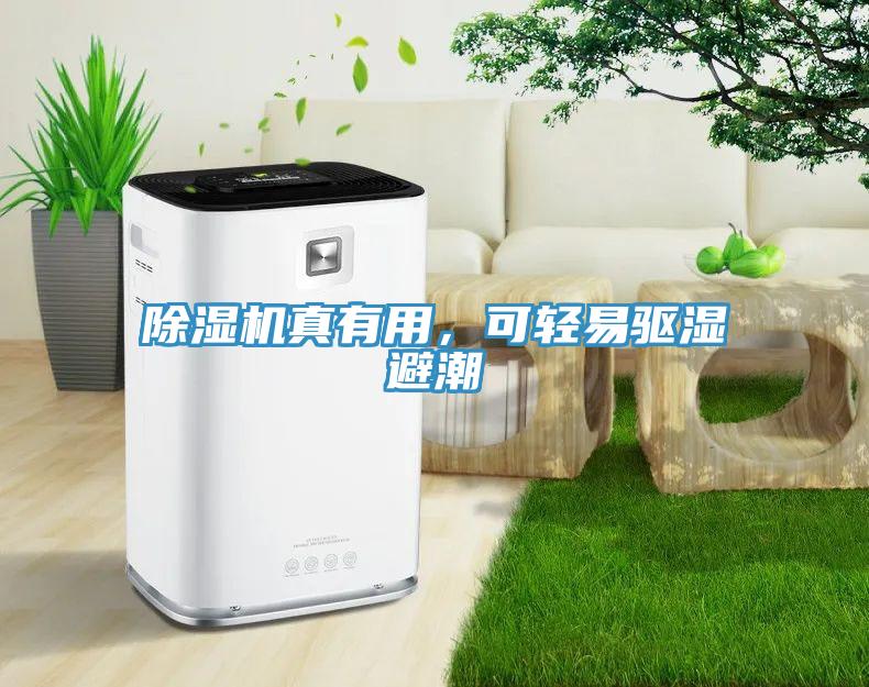 除濕機(jī)真有用，可輕易驅(qū)濕避潮