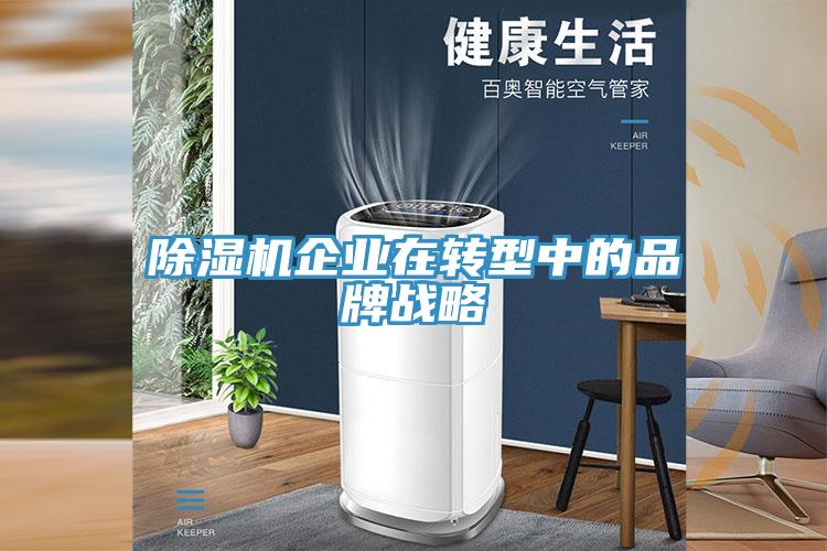 除濕機(jī)企業(yè)在轉(zhuǎn)型中的品牌戰(zhàn)略