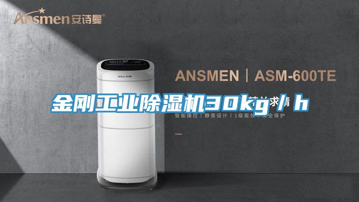 金剛工業(yè)除濕機30kg／h