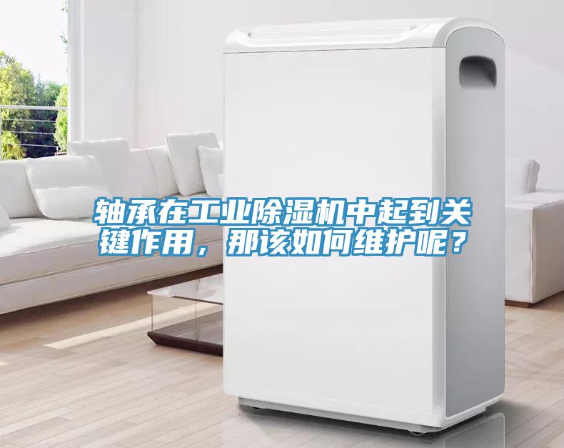軸承在工業(yè)除濕機(jī)中起到關(guān)鍵作用，那該如何維護(hù)呢？
