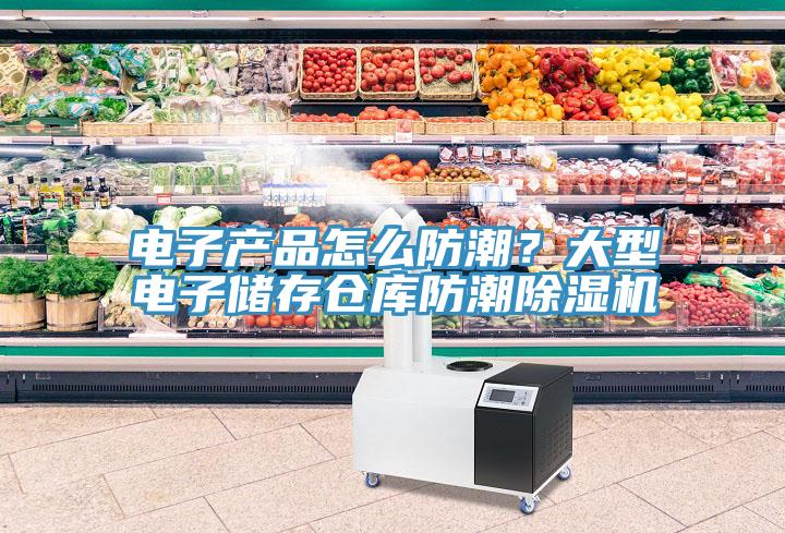 電子產(chǎn)品怎么防潮？大型電子儲(chǔ)存?zhèn)}庫防潮除濕機(jī)