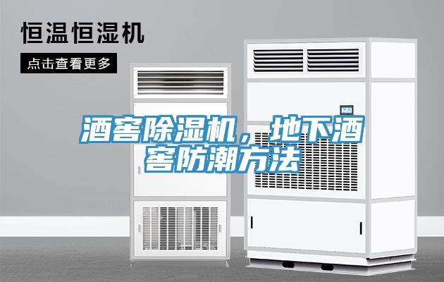酒窖除濕機(jī)，地下酒窖防潮方法