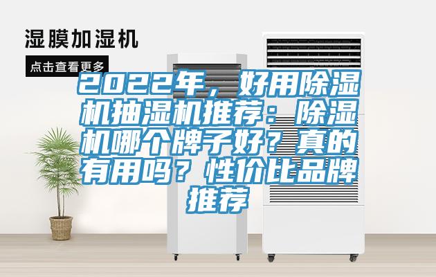 2022年，好用除濕機(jī)抽濕機(jī)推薦：除濕機(jī)哪個(gè)牌子好？真的有用嗎？性價(jià)比品牌推薦
